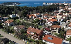 Apartman Maslina