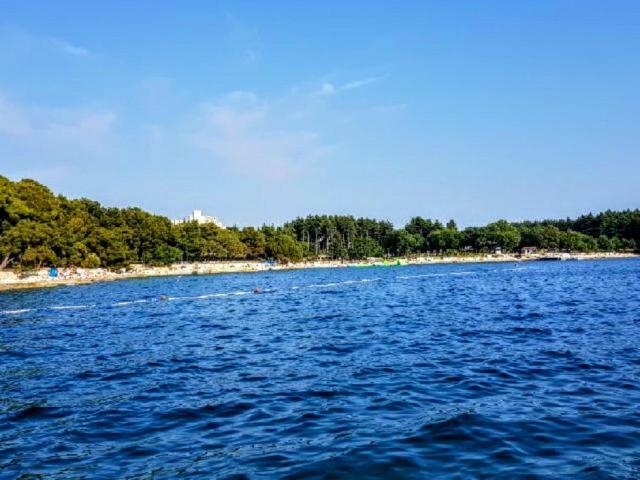 Appartamento Apartman Maslina Porec Esterno foto
